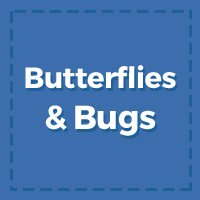 Butterflies & Bugs