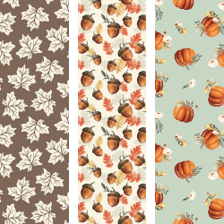Shades of Autumn