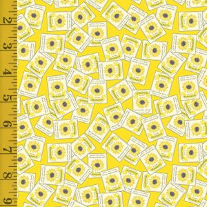 Riley Blake Designs Sunny Skies: Seed Packets - Sun #25-8428