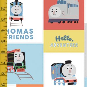 Riley Blake Designs Thomas & Friends Sodor Railway: Cheater Print - Multi #25-8496