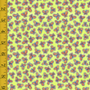 Blank Quilting Whimsy Daisical 2 - Green #25-8223