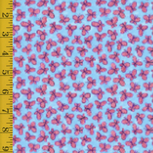 Blank Quilting Whimsy Daisical 2 - Blue #25-8224