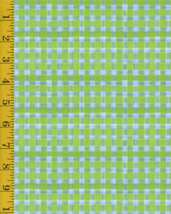 Blank Quilting Whimsy Daisical 2 - Green #25-8228