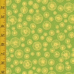Qt Fabrics Flowerful: Linear Circles - Green #25-6527