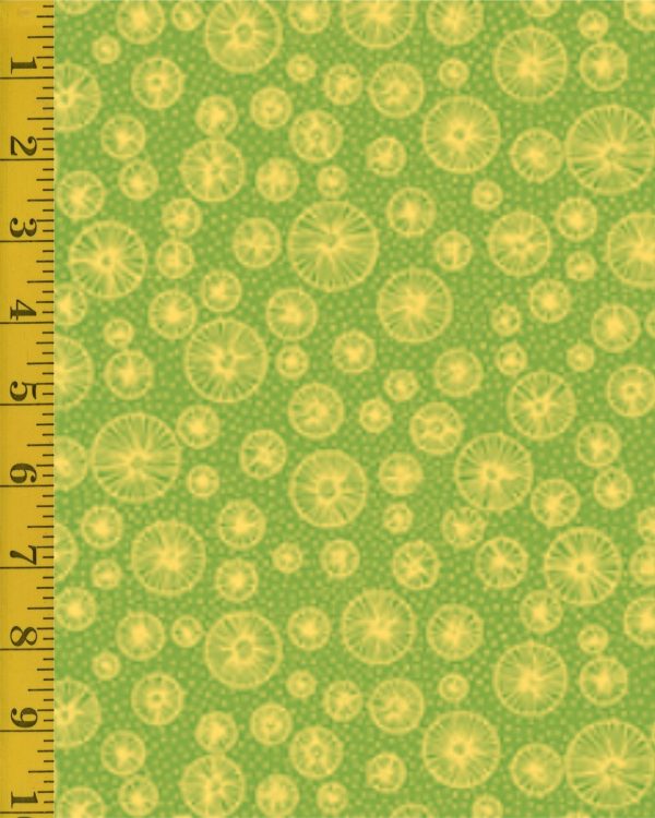 Qt Fabrics Flowerful: Linear Circles - Green #25-6527