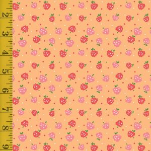 Riley Blake Designs Summer Skies and Fireflies: Raspberries - Orange - 25-8557