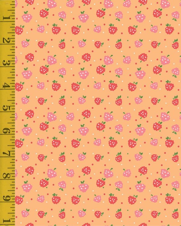 Riley Blake Designs Summer Skies and Fireflies: Raspberries - Orange - 25-8557