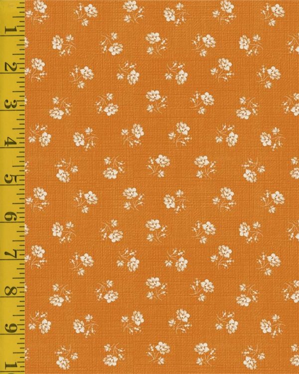Riley Blake Designs Baked with Love: Amber Heirloom - Amber #26-8769