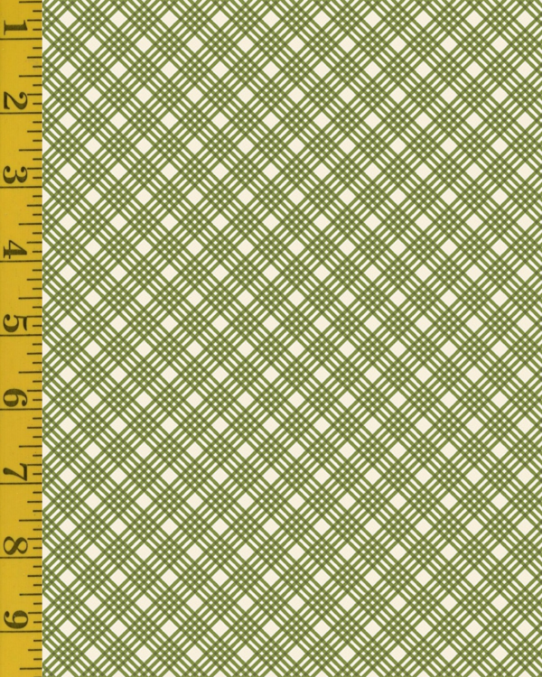 Benartex Hello Pumpkin: Crisp Plaid - Green #26-4948
